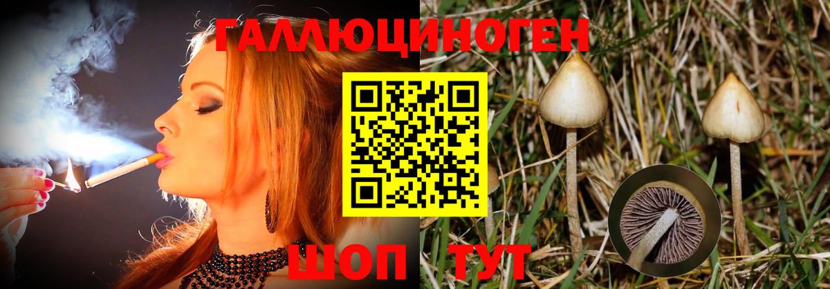 Псилоцибиновые грибы прущие грибы Красноярск